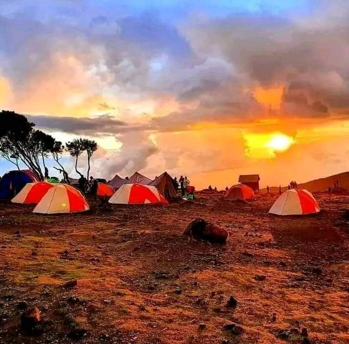 Kilimanjaro tented camp glowing at sunset