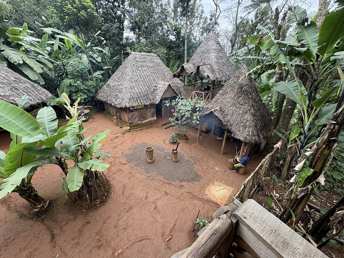 Chagga village life in the green foothills of Kilimanjaro